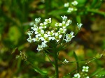20070322 06.jpg